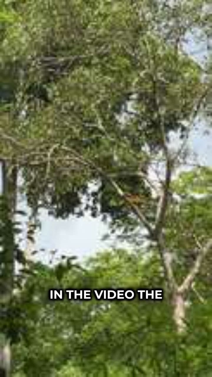 Monkey Trades in Style