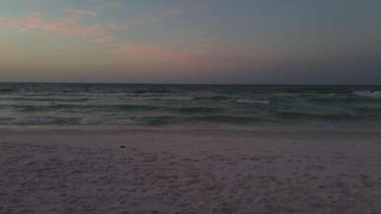 Sous la pluie de sa paix