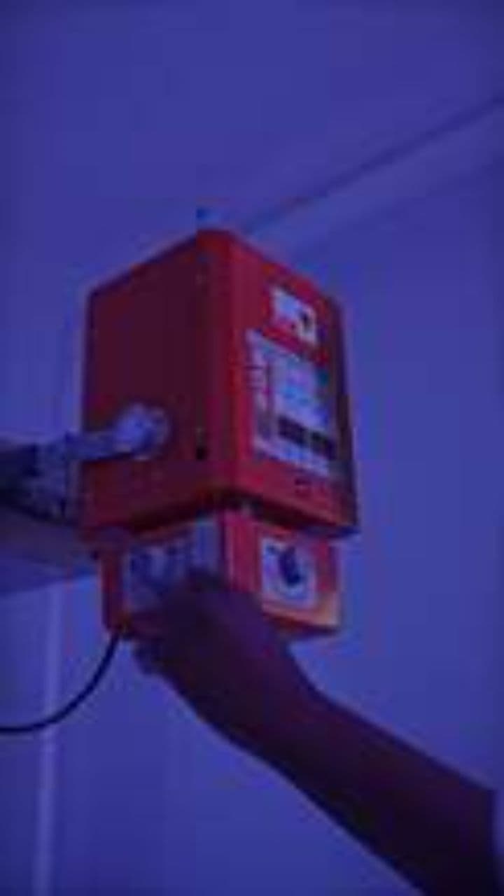 Quando scopri che il gatto è maschio