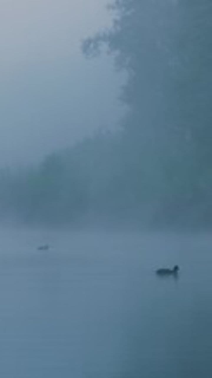 Im Nebel der Hoffnung