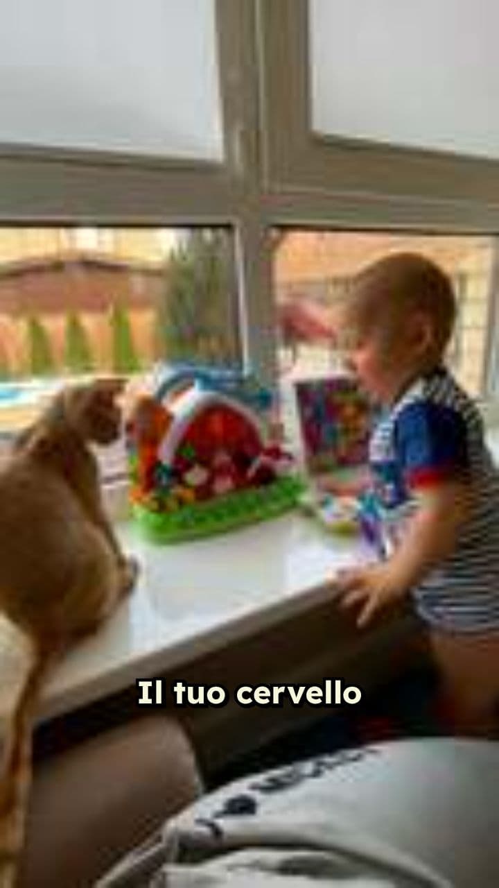 La plasticità cerebrale e l'apprendimento