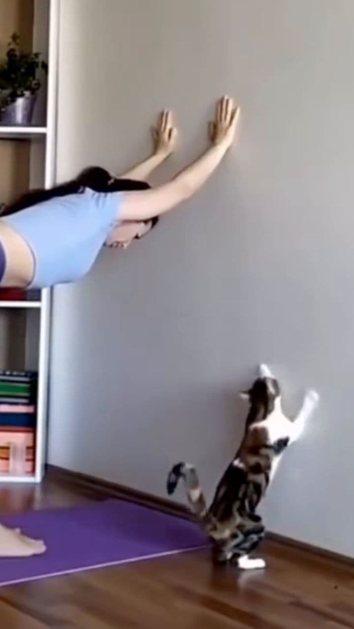 Adjusting Dough Consistency