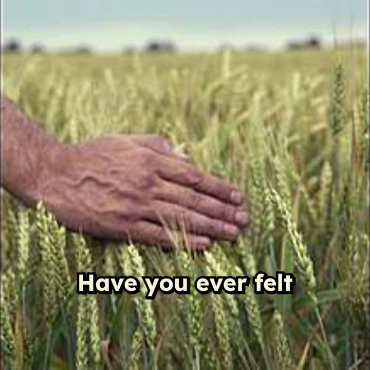 True Worship: Finding Joy in Surrender