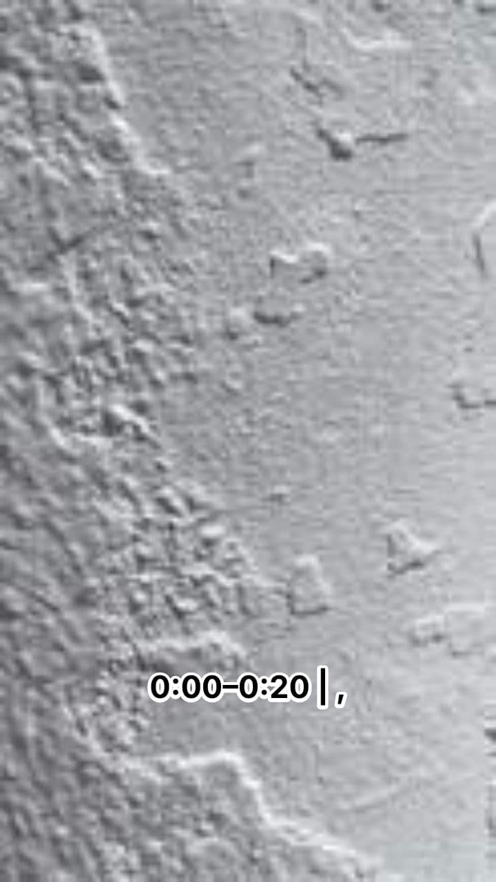 Celebração do Futebol em Lisboa