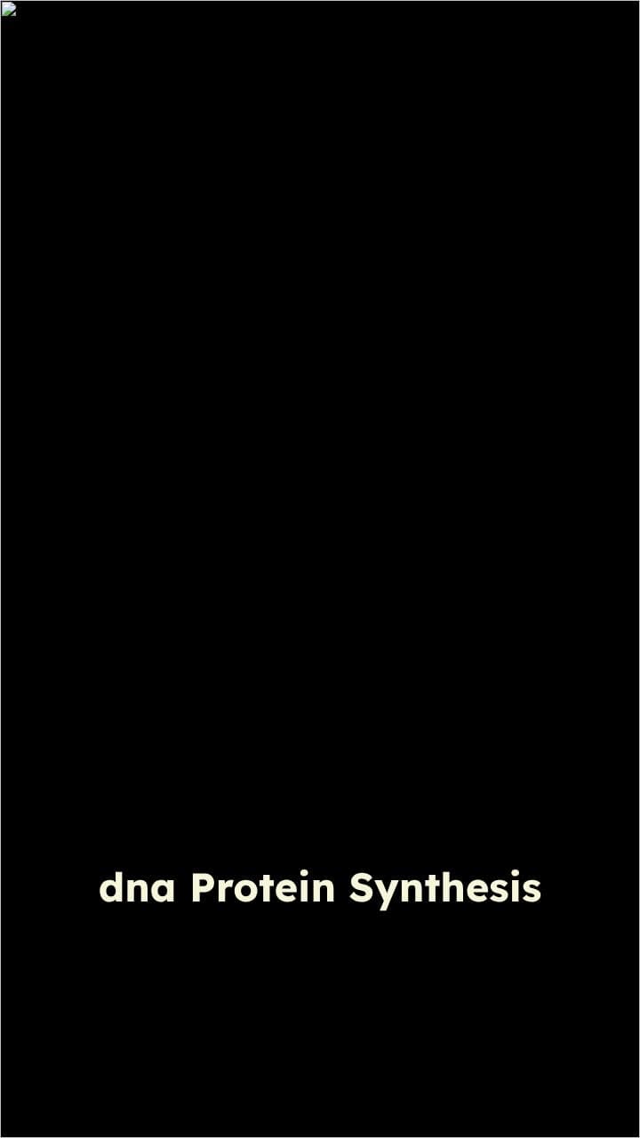 DNA, Protein Synthesis, and Enzymes