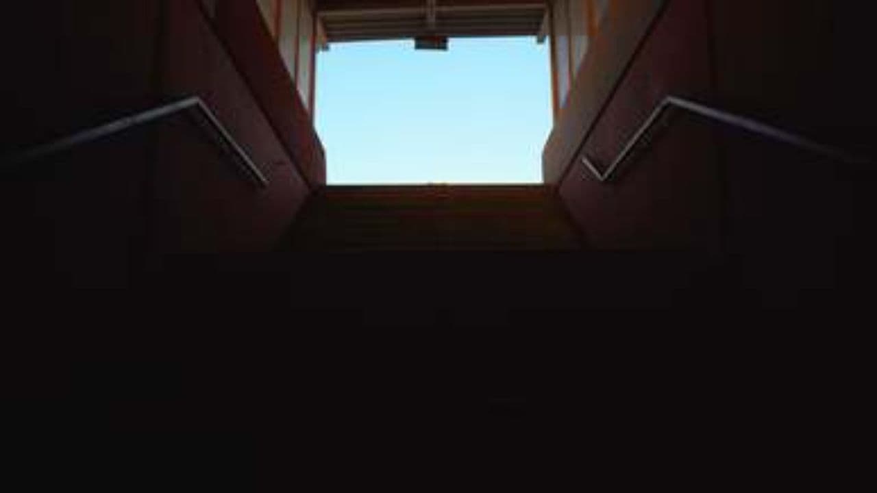 Destiny Cannot Be Canceled