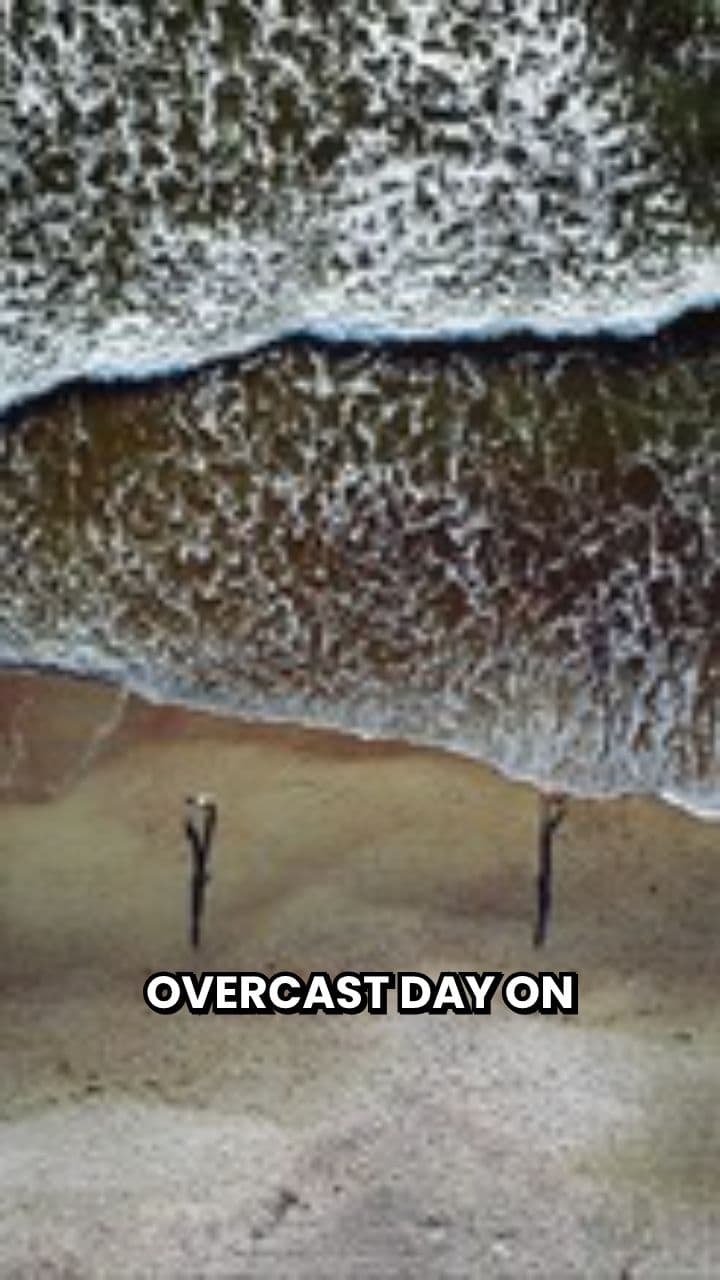 Joy Run on the Baltic Shore