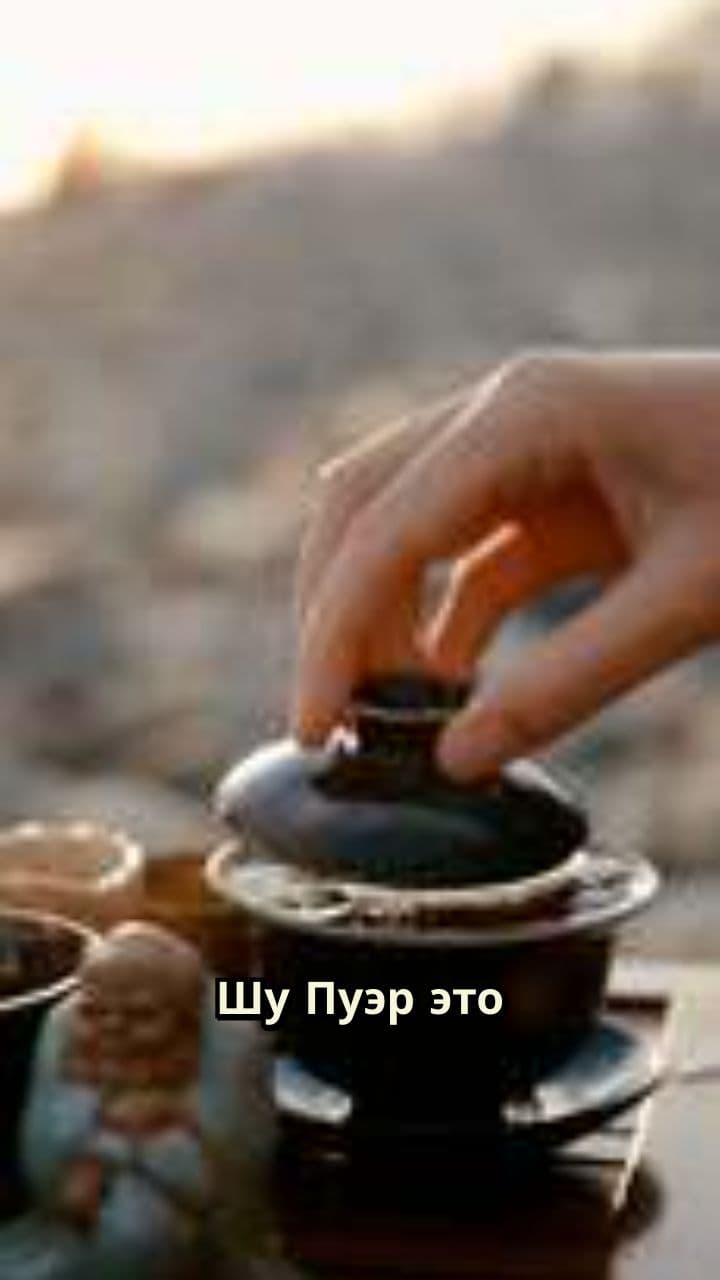 Шу Пуэр: альтернатива кофе