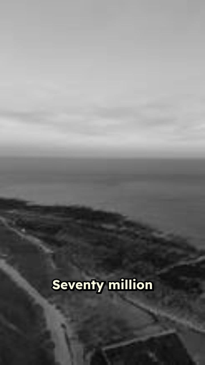 Mosasaurus: Apex Predator of the Deep