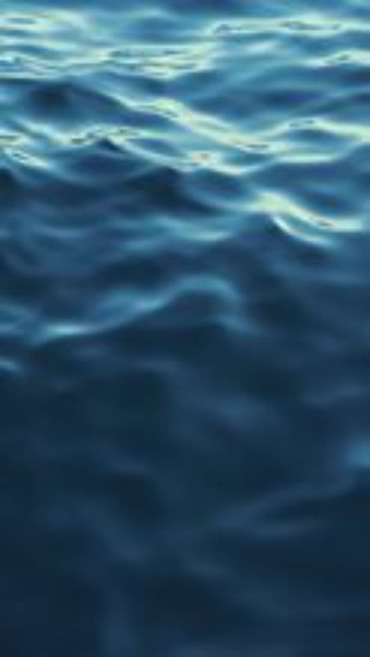 Grattis Christoffer, tullens hjälte