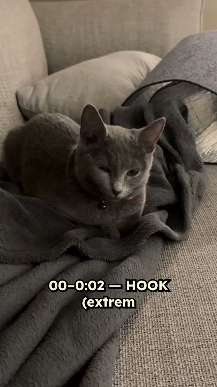 Nala und Mira brauchen eure Hilfe!