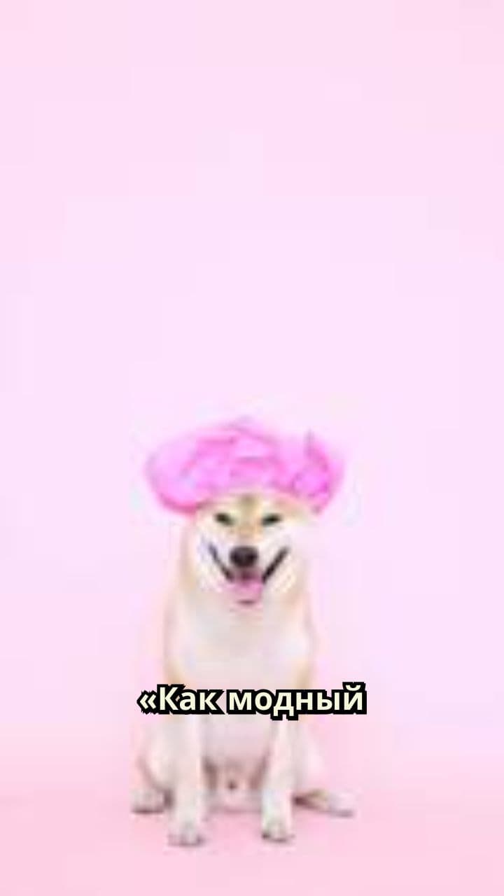 Елизаветинский воротник для домашних питомцев