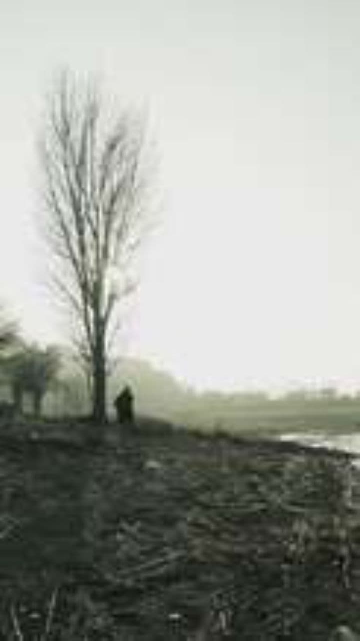 Я не умер, я повсюду