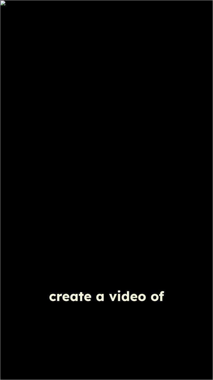 Cat Diving Board Flip Showdown