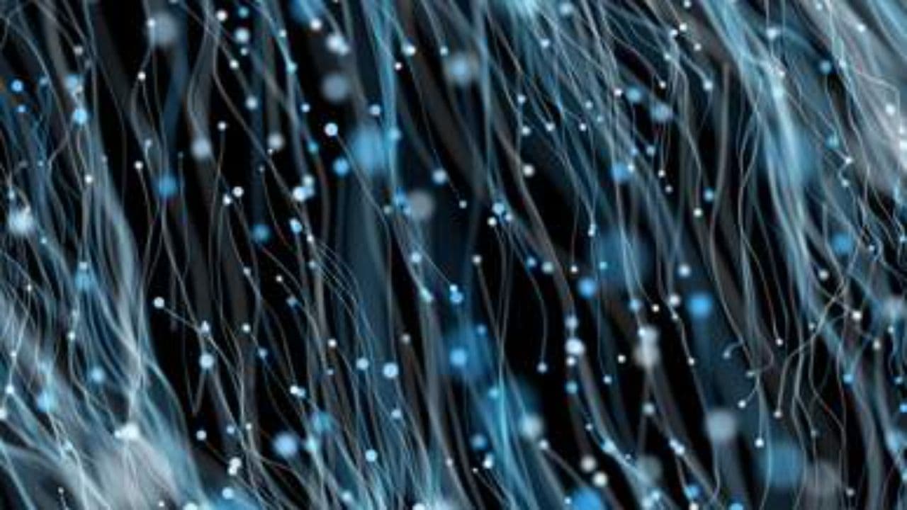 The Gentle Embrace of Death