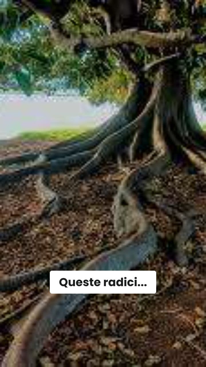 Il Cane Vulcanico delle Radici