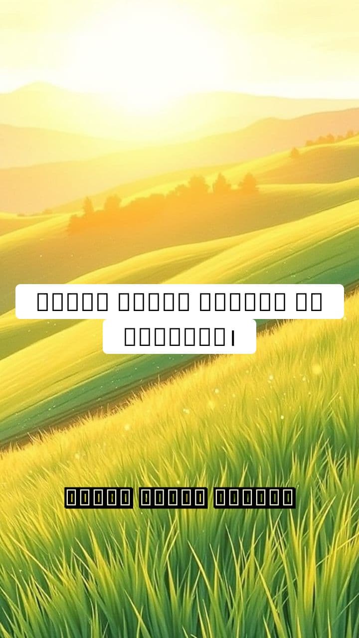 Unconditional Love's Melody