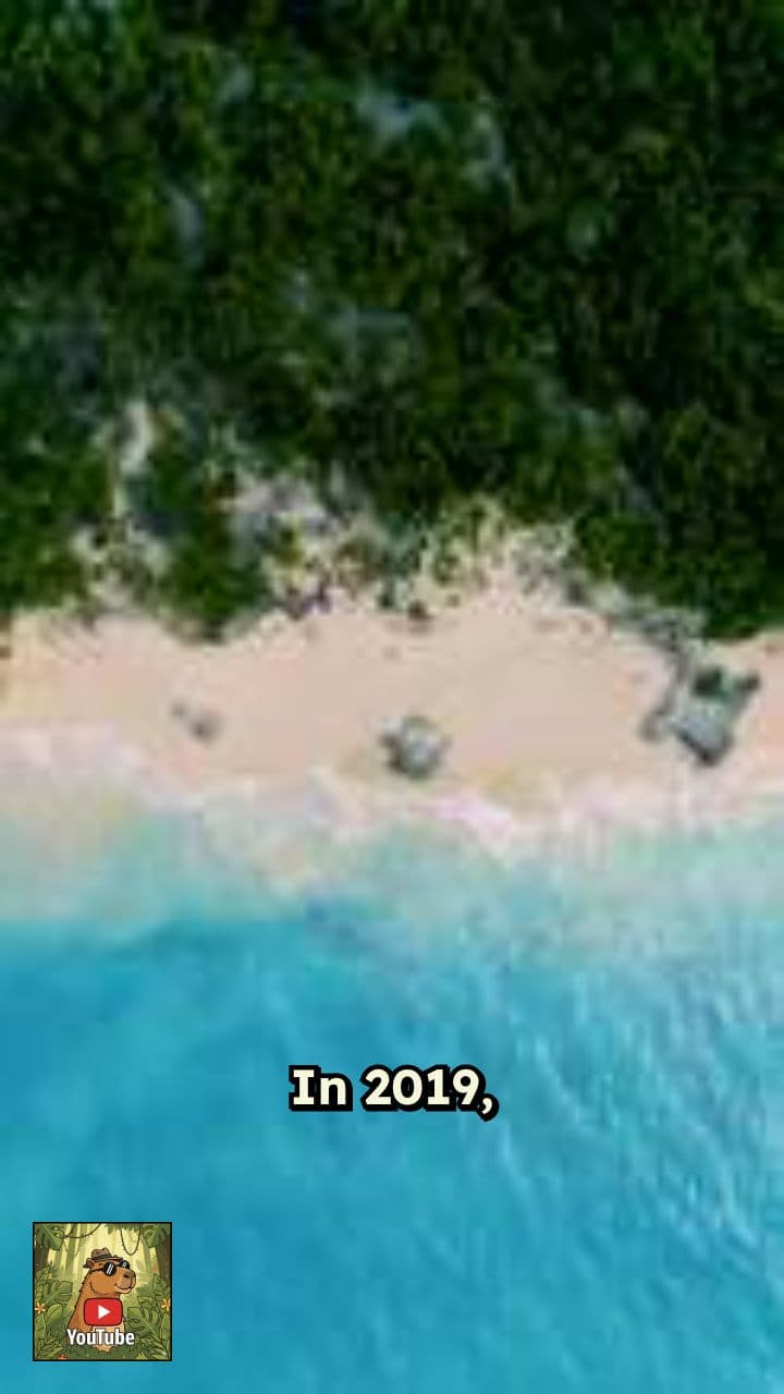 The Haunting of Bishop Island