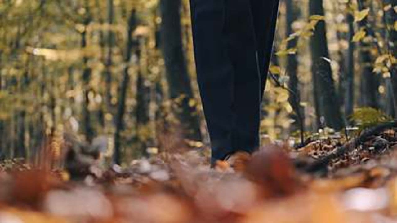 가을 산의 고요한 발소리