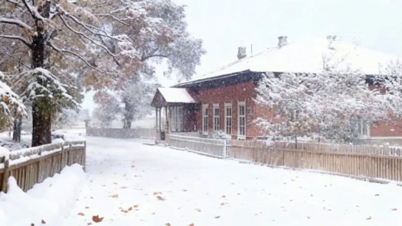 Image transform video