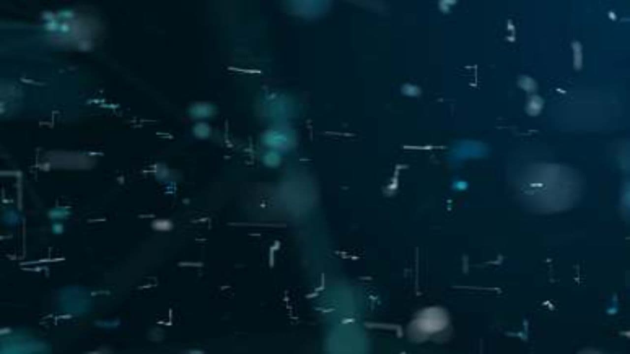 Qu’est-ce qui fait un humain ?