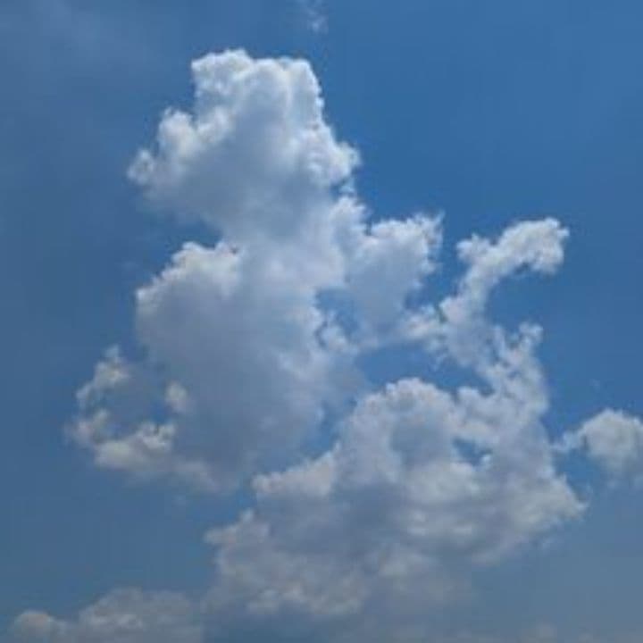 Cielo azul y recuerdos perdidos