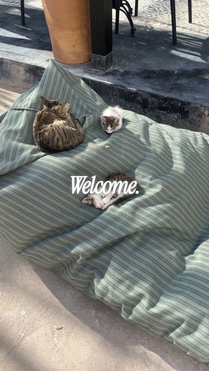 Journey to Authentic Connection