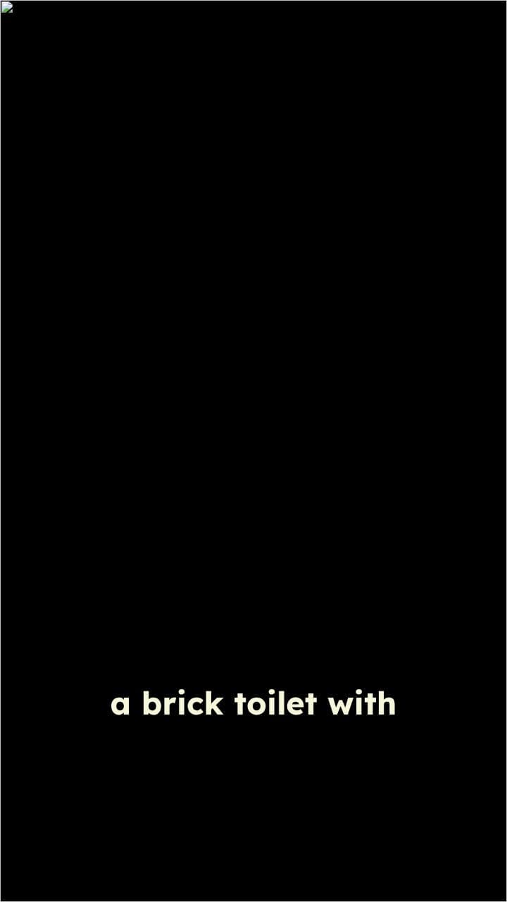 Armed Brick Toilet with Rice