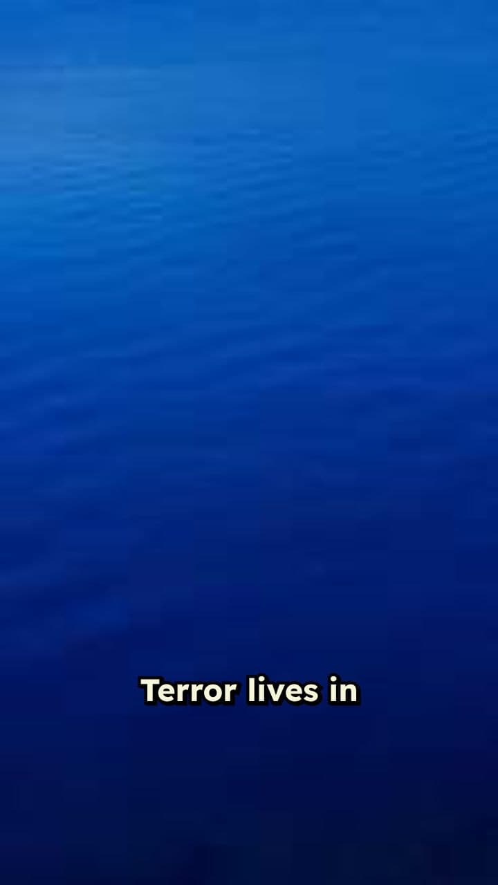 Mysterious Creatures Rise from the Depths