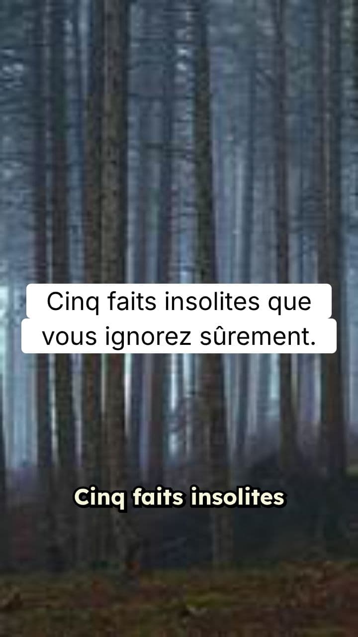 Cinq faits insolites que vous ignorez sûrement