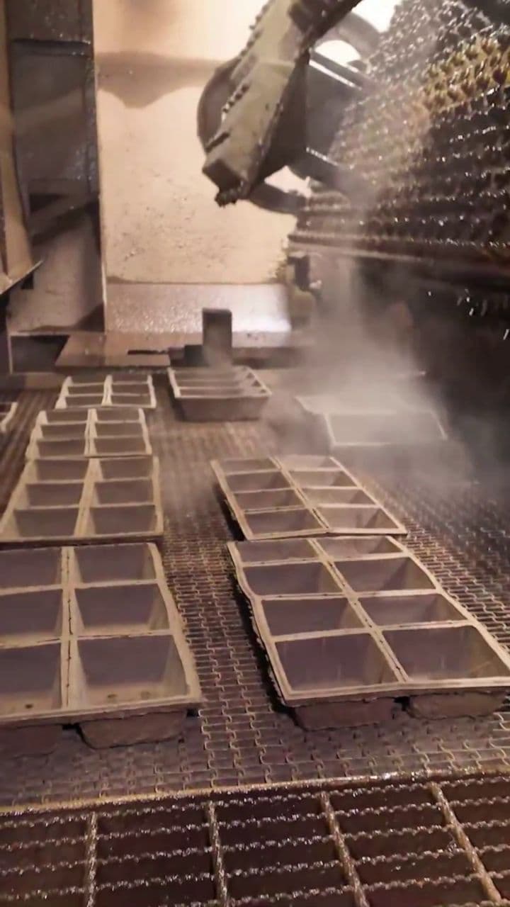 Innovative Molded Pulp Manufacturing Solutions