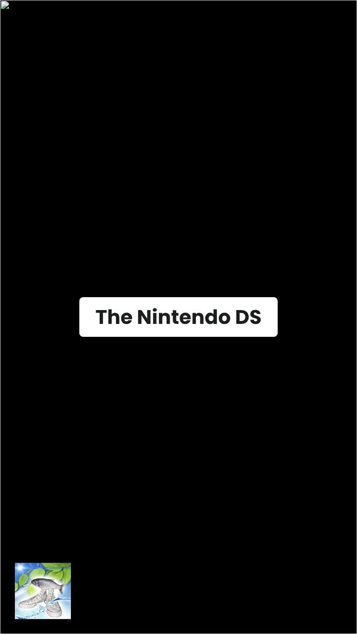 The Legacy of Nintendo DS