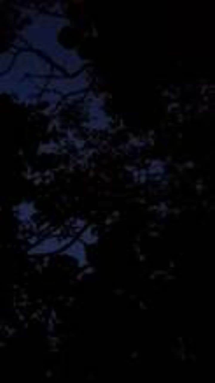 На орбите любви