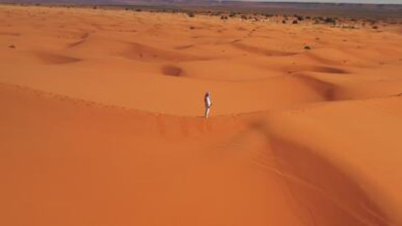 Counted Forever in Grainfield