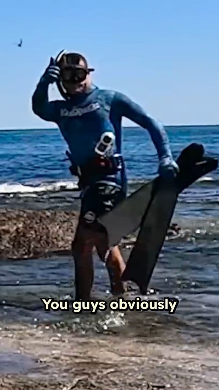 Feeling Like Shark Food