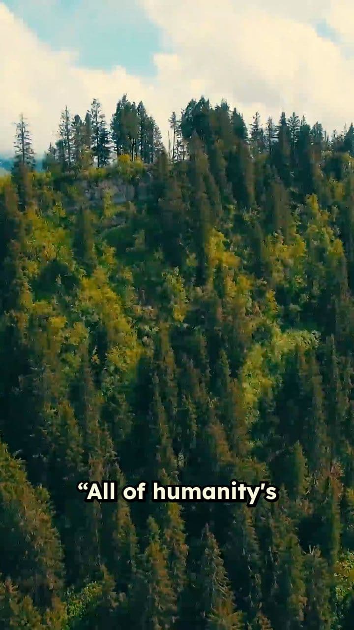 The Challenge of Solitude