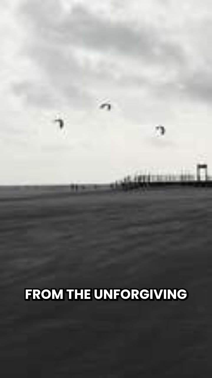 Discover the Extraordinary Saga of the Vikings