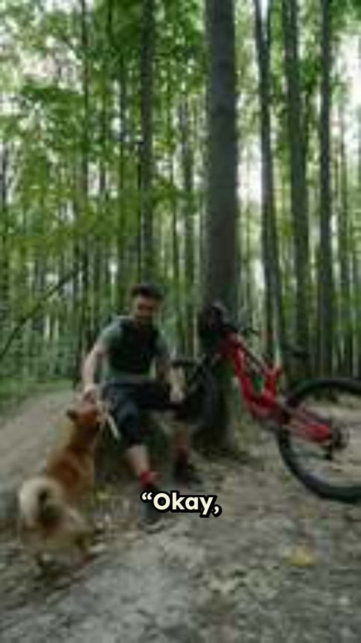 Create Viral Animal Sports Clips Fast