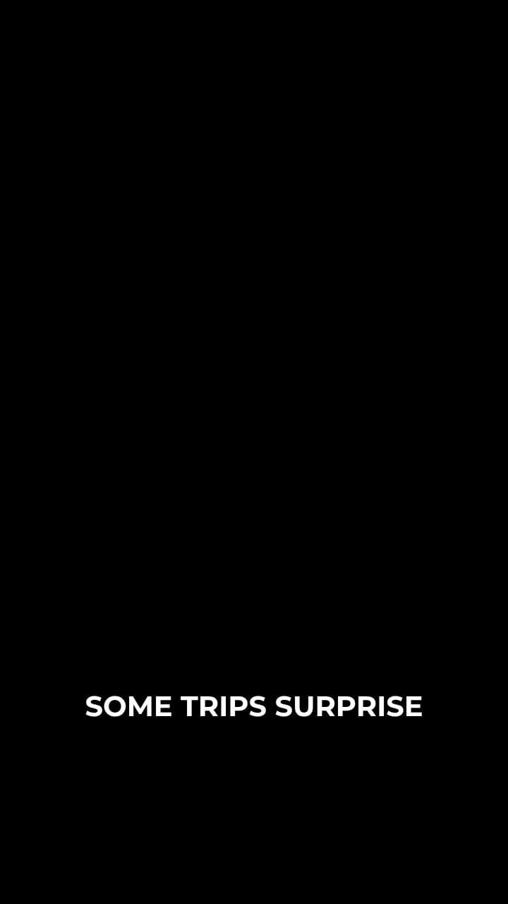 Penguins in Cape Town