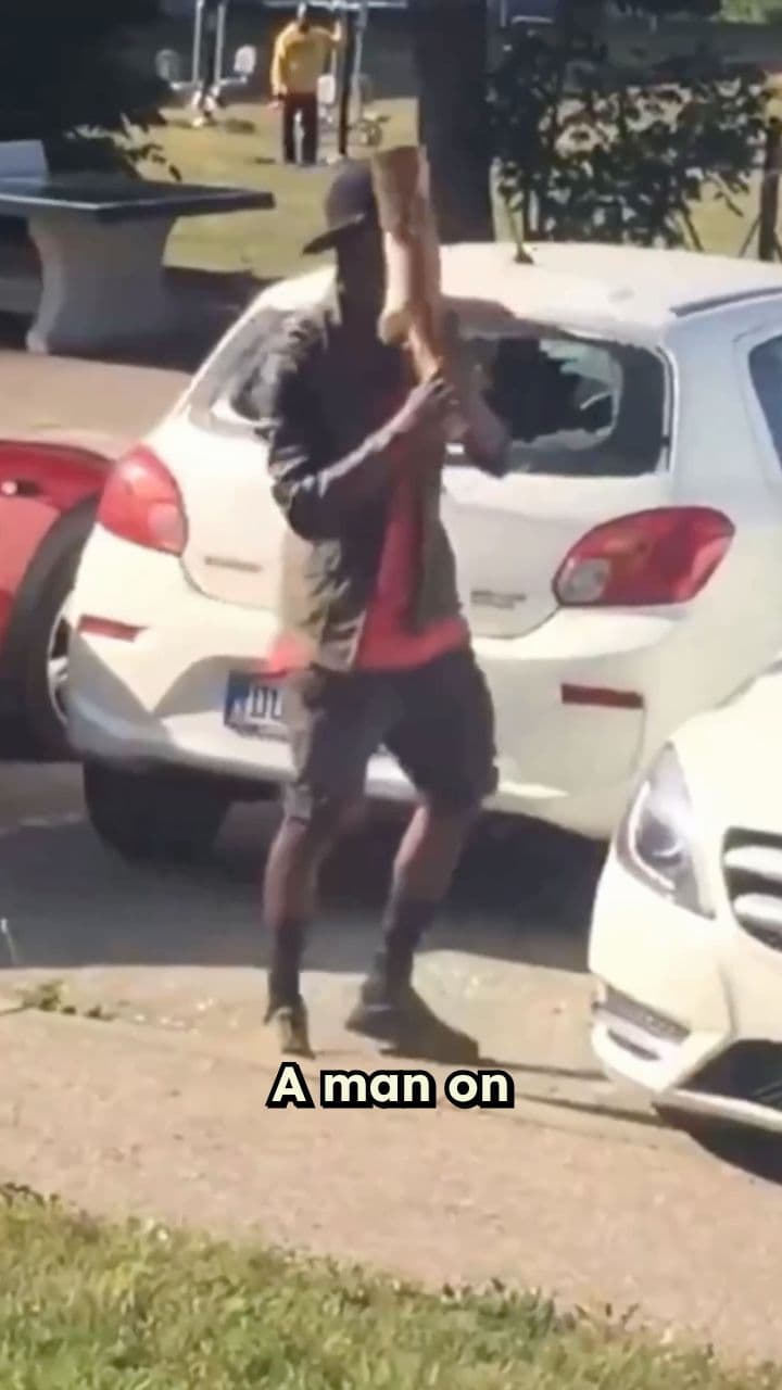 Destructive Rampage Targets SUV