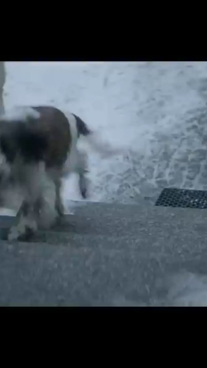 A Father's Christmas Plan