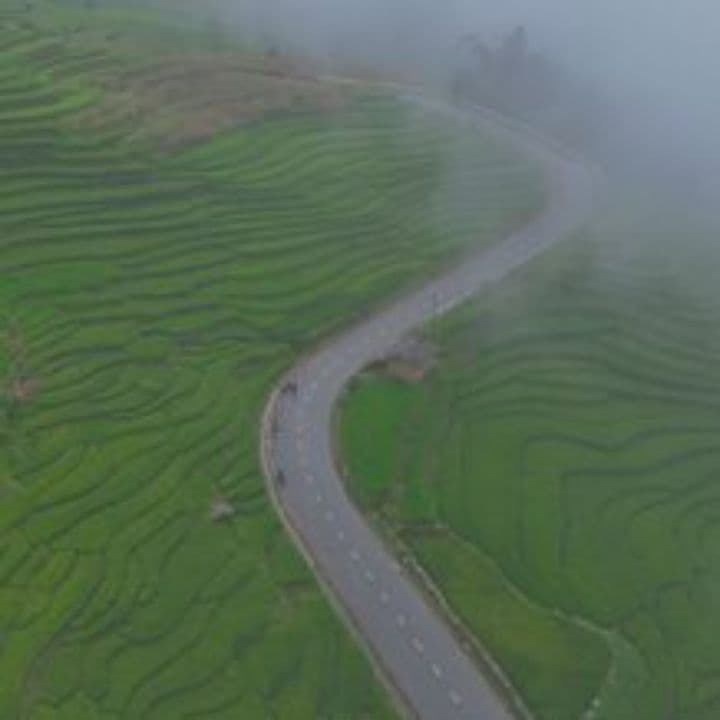 Si può combattere e rinascere