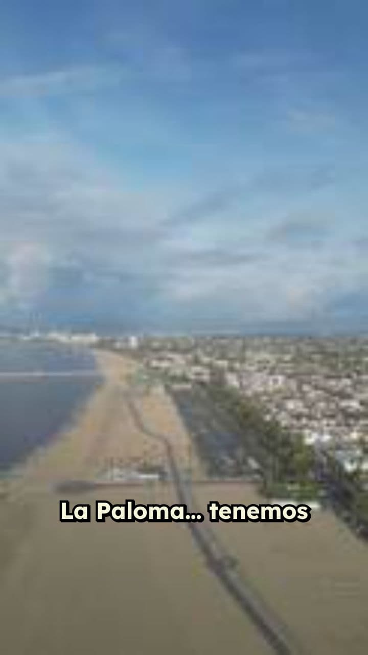 La Noche Inolvidable en La Paloma