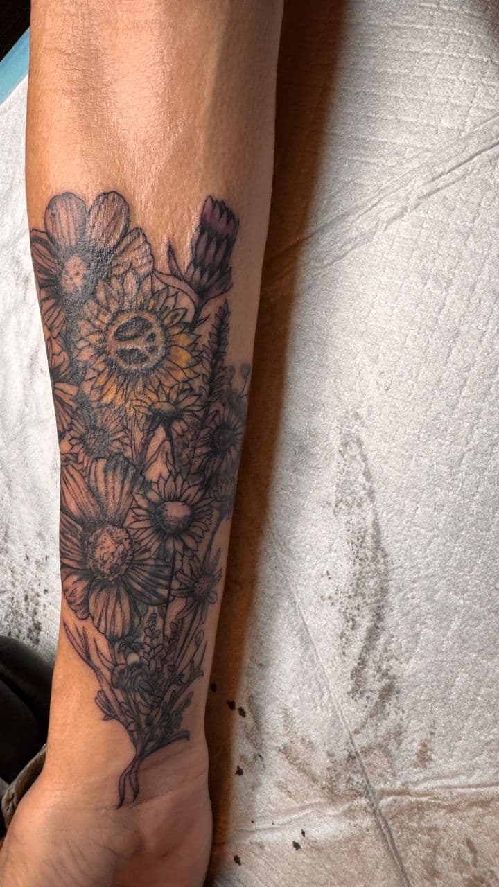 A Love Song of Apology