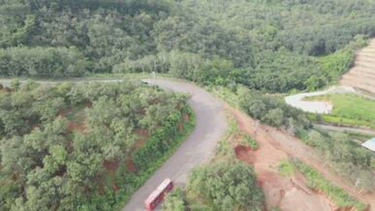 El Barbero i 711 połączeń