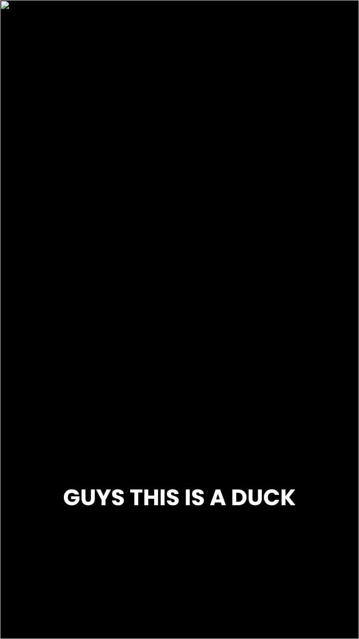 Corrupted Cyborg Duck's T-Shirt Business