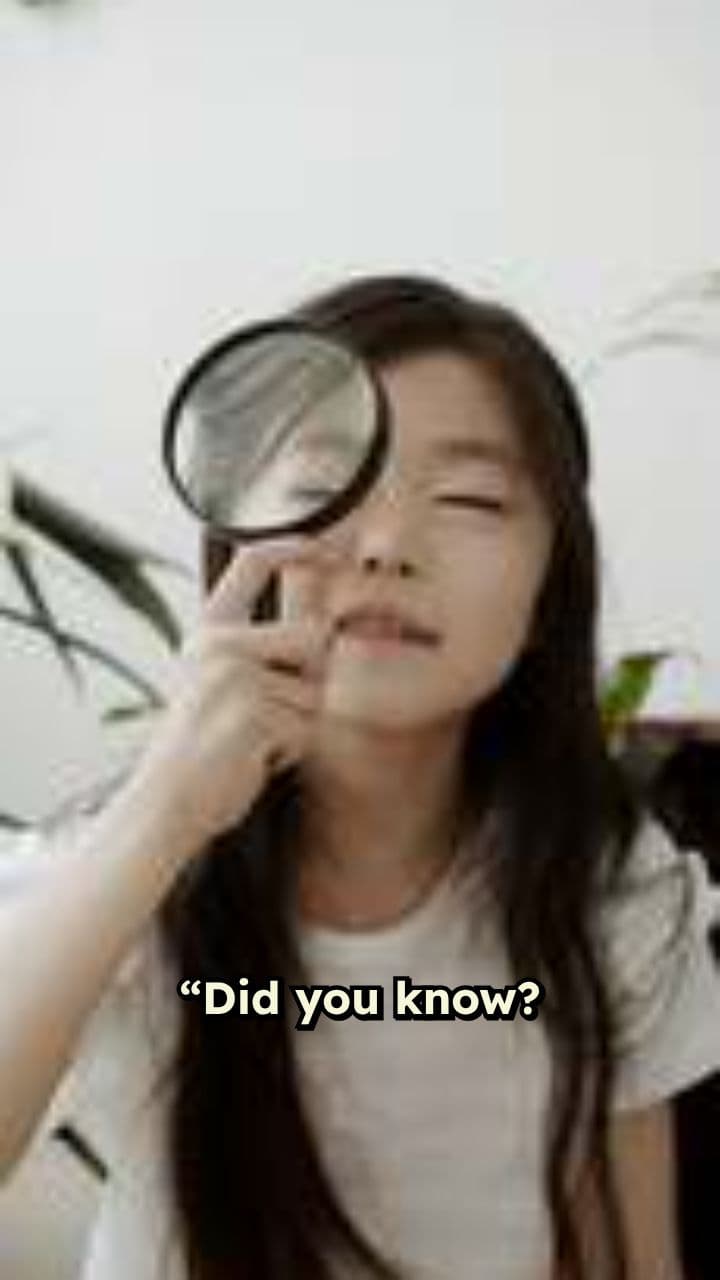 Kids Learn German Faster