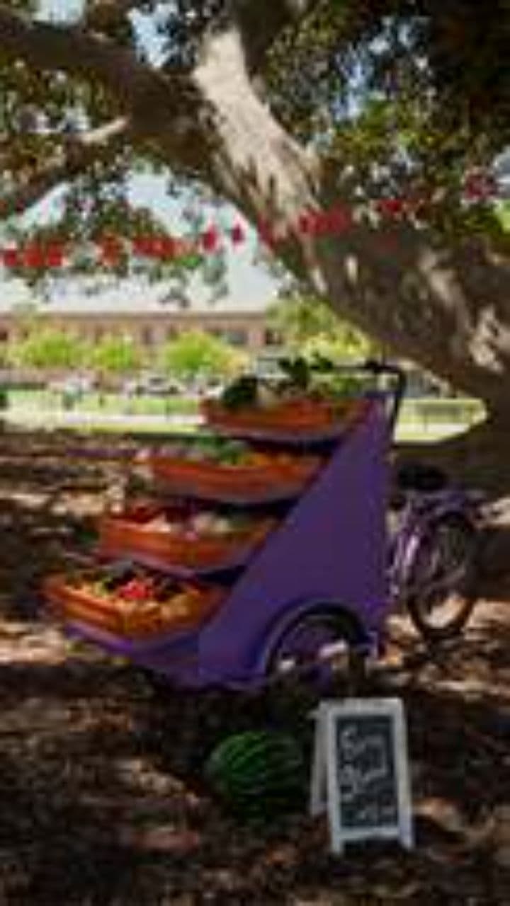 6 alimentos proteicos para ganhar músculo