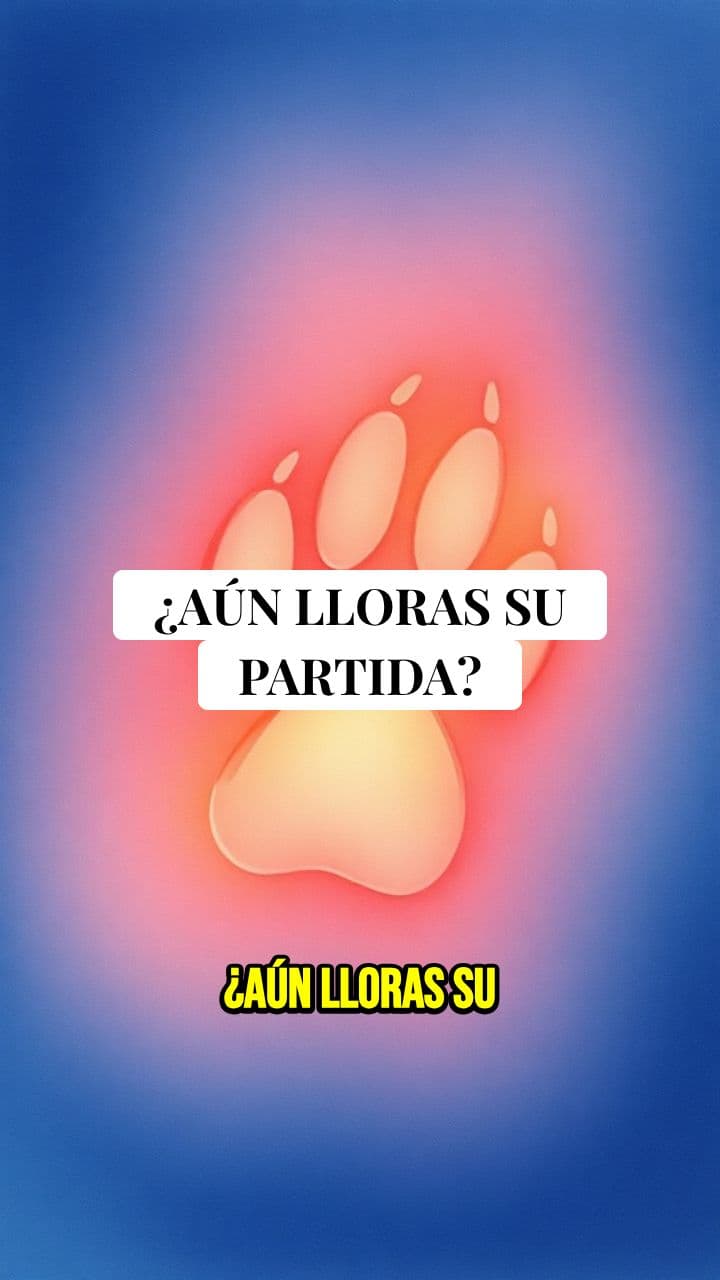 Huellitas en el Arcoíris: Tu Duelo Importa