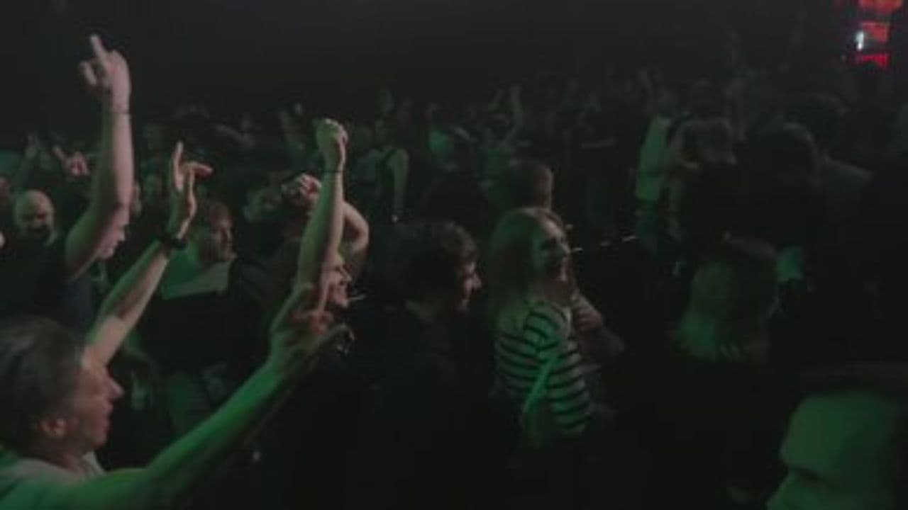 Happy Birthday, Your Day Your Way